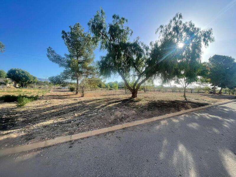 Land for sale