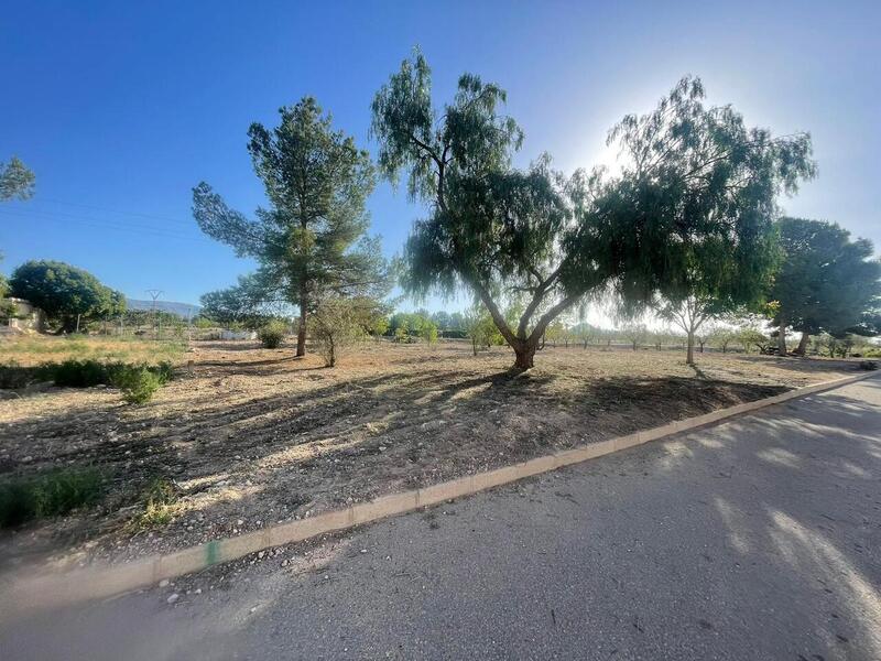 Land for sale
