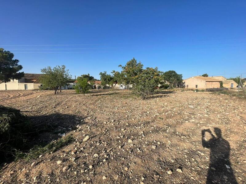 Land for sale