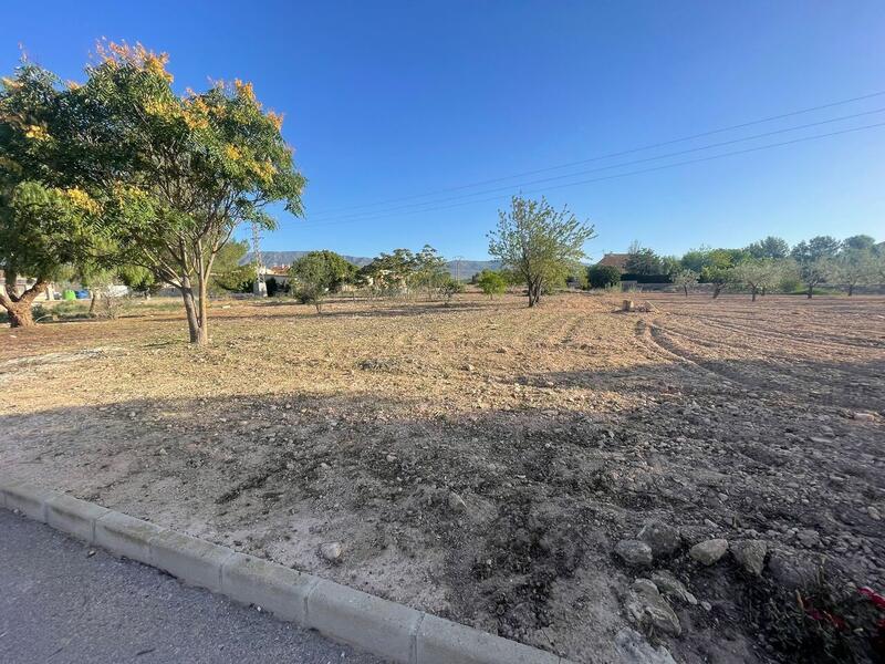 Land for sale
