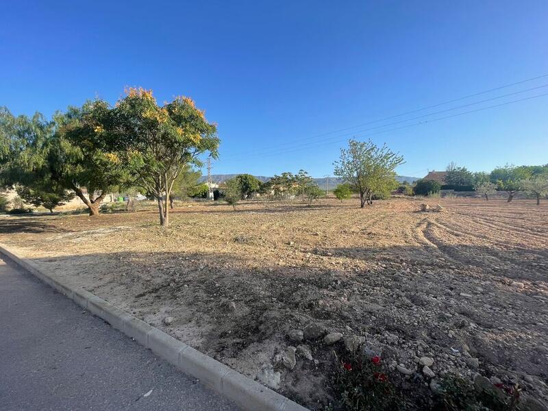 Land for sale