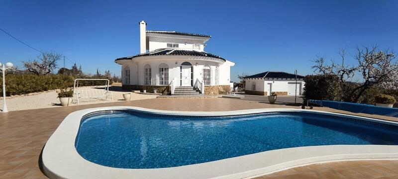 Villa til salgs i Pinoso, Alicante