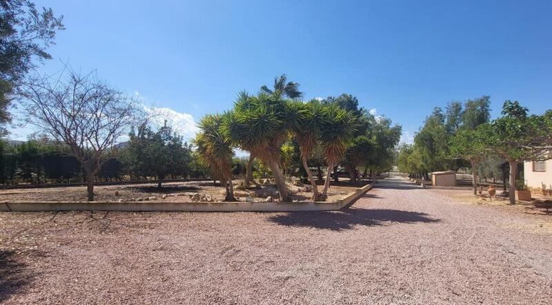 3 chambre Villa à vendre