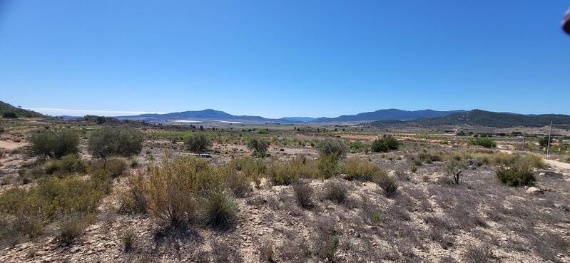 Land for sale in Monóvar, Alicante