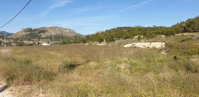 Land for sale in La Romana, Alicante