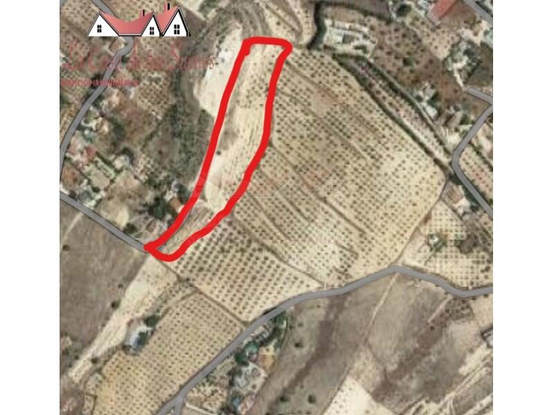 Land for sale