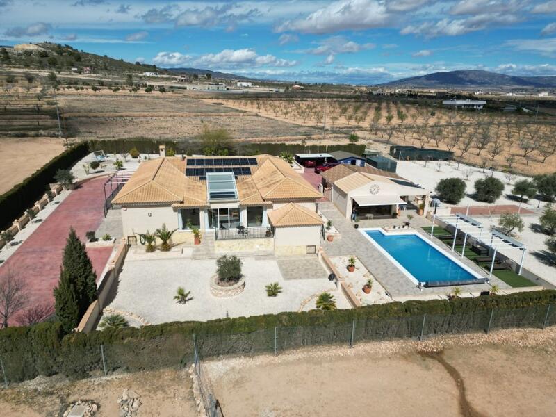 Villa à vendre dans Pinoso, Alicante