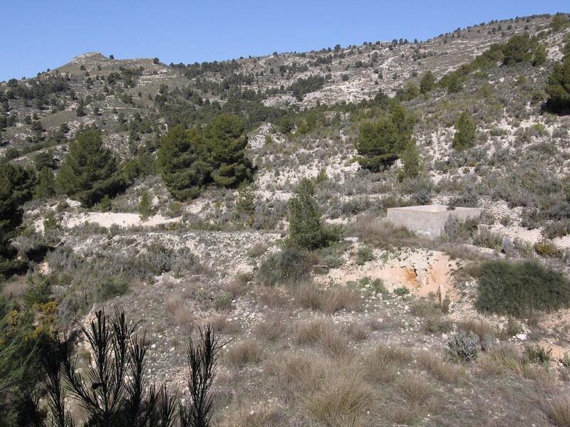 3 Cuarto Villa en venta