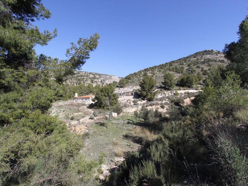 3 Cuarto Villa en venta