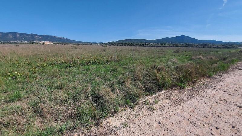 Land til salgs i Salinas, Alicante