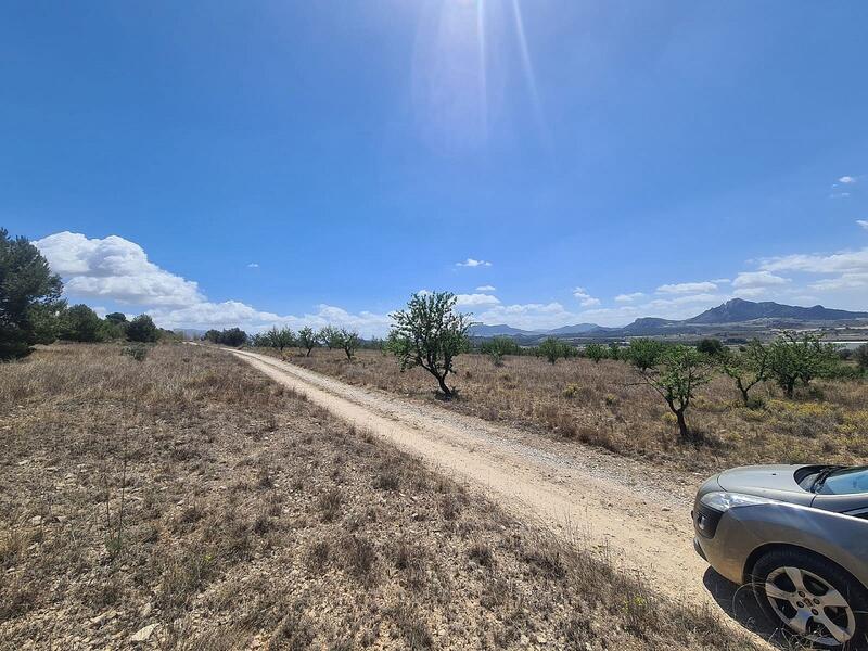 Land for sale