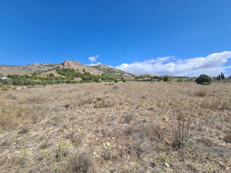 Land for sale