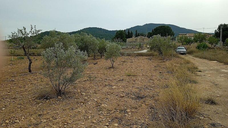 Land Te koop in Monóvar, Alicante