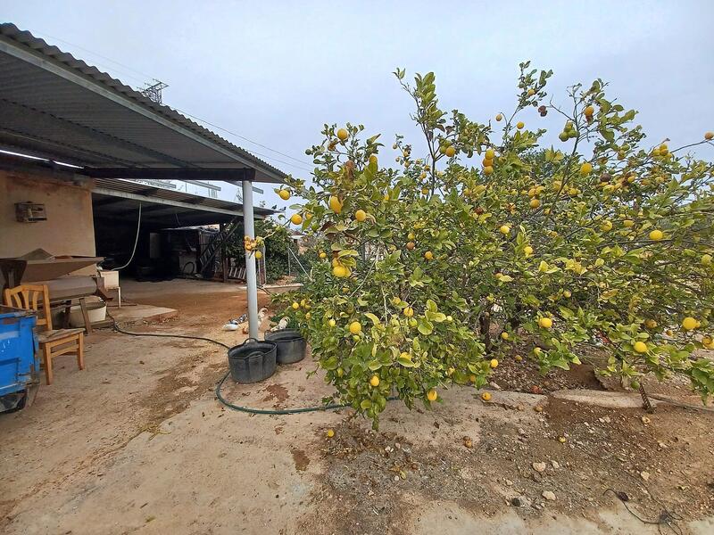 Landsted til salg i La Romana, Alicante