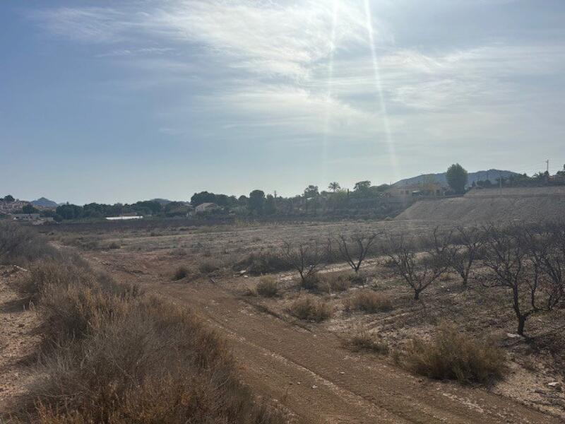 Land for sale