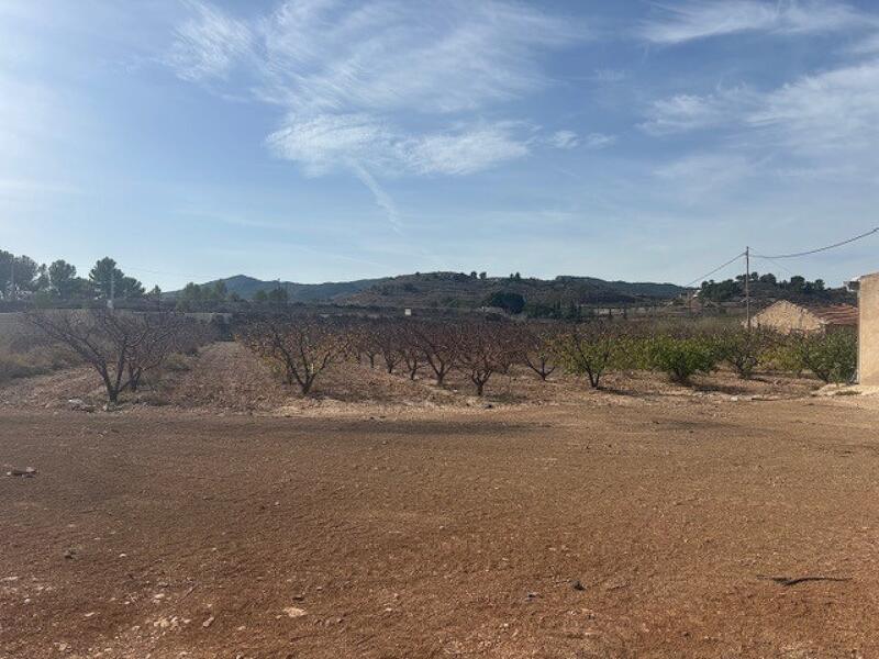 Land for sale