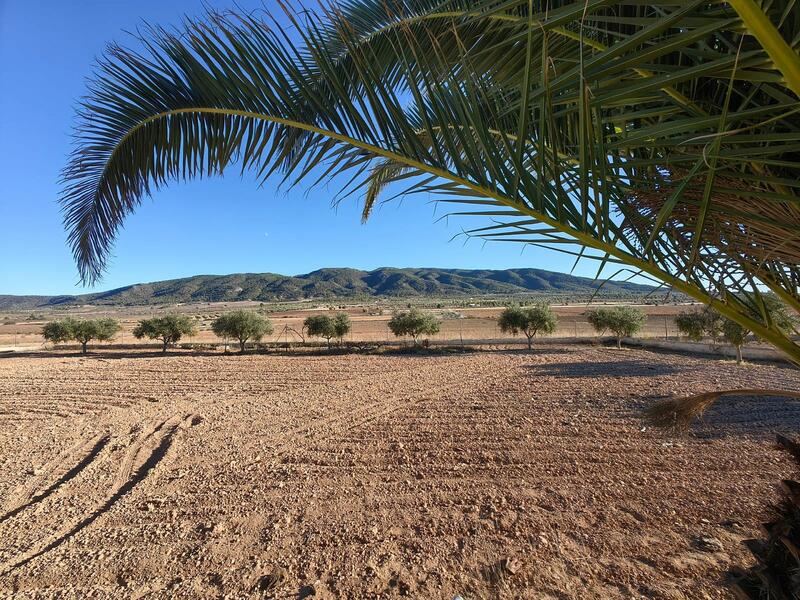 3 bedroom Country House for sale