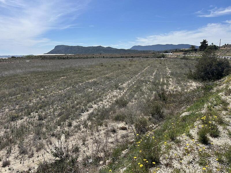 Grundstück zu verkaufen in Hondon de las Nieves, Alicante