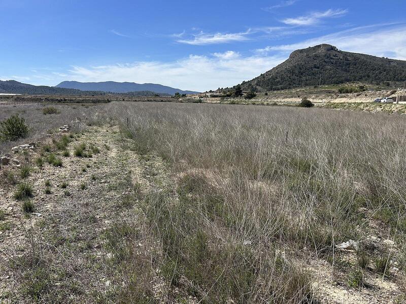 Terrenos en venta
