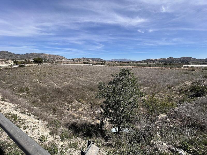 Terrenos en venta