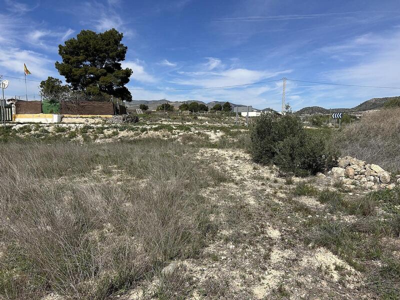 Terrenos en venta