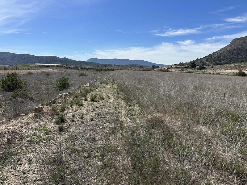 Terrenos en venta