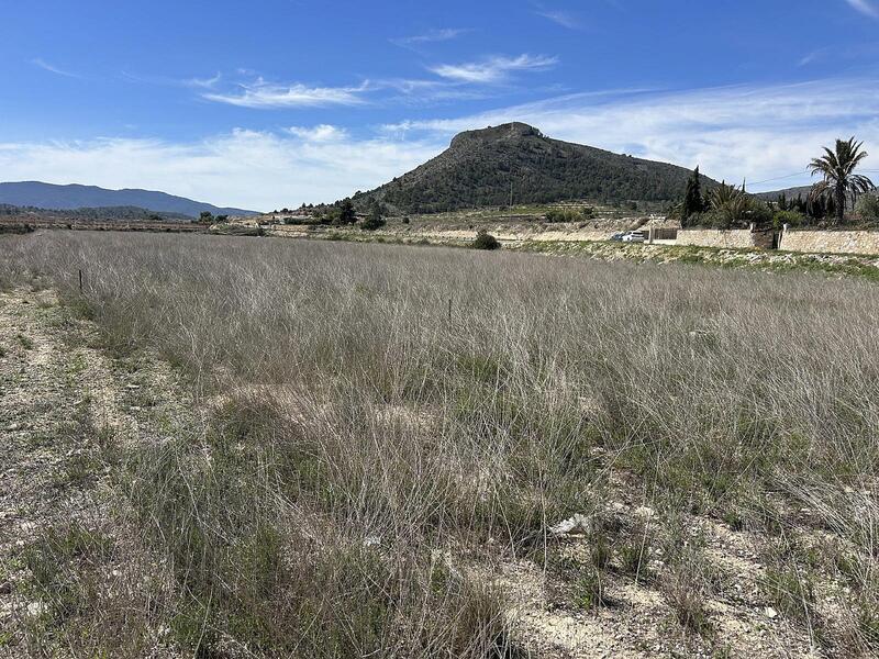 Terrenos en venta