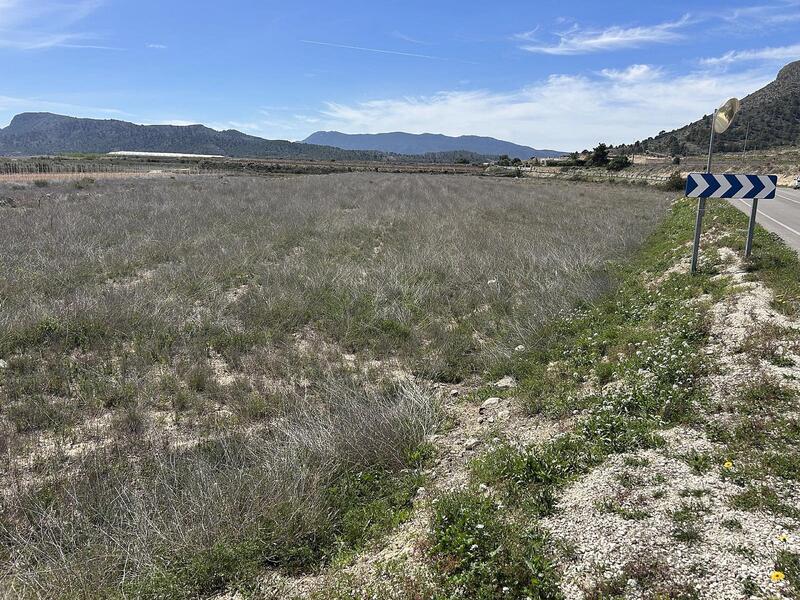 Terrenos en venta