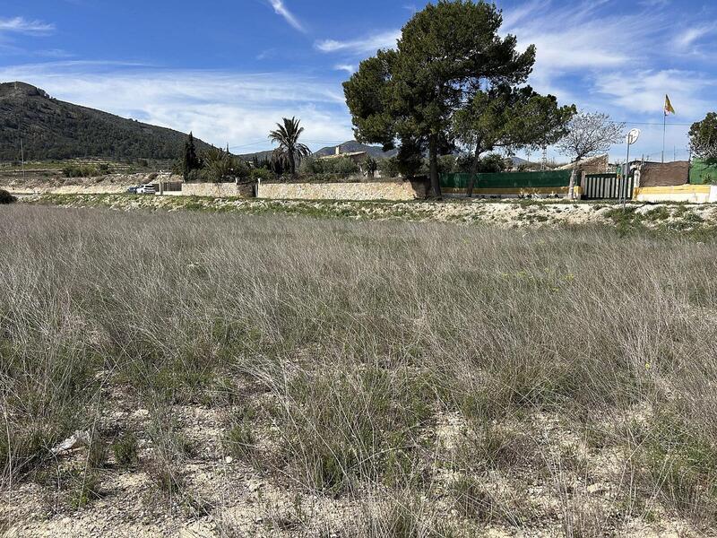 Terrenos en venta