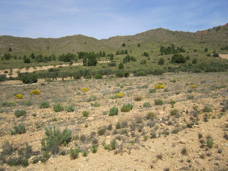 Landa till salu i Yecla, Murcia