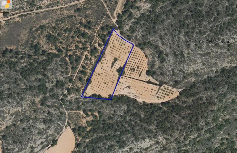 Land for sale
