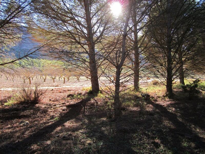 Terrenos en venta
