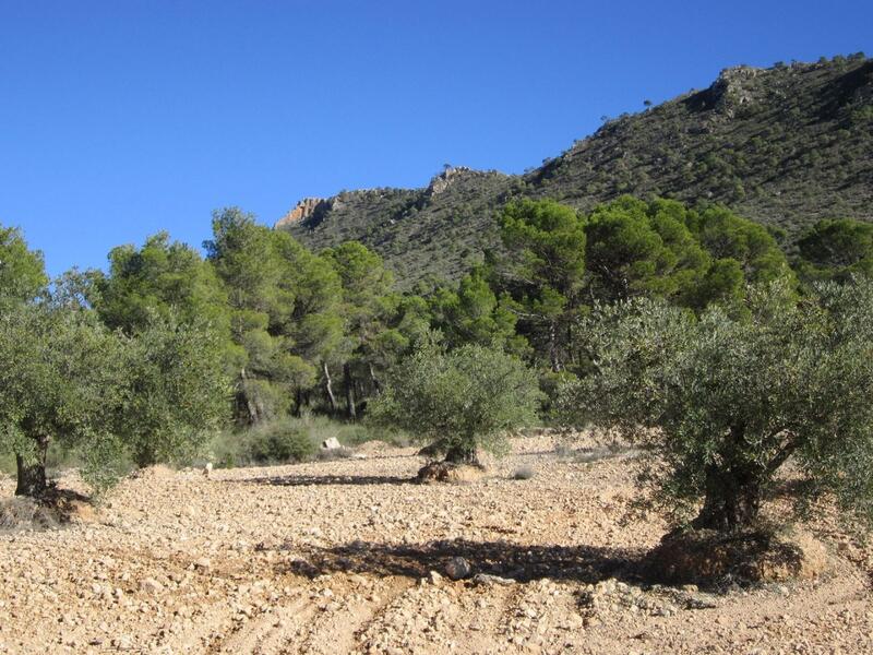 Terrain à vendre