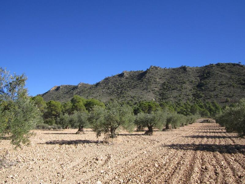 Terrain à vendre