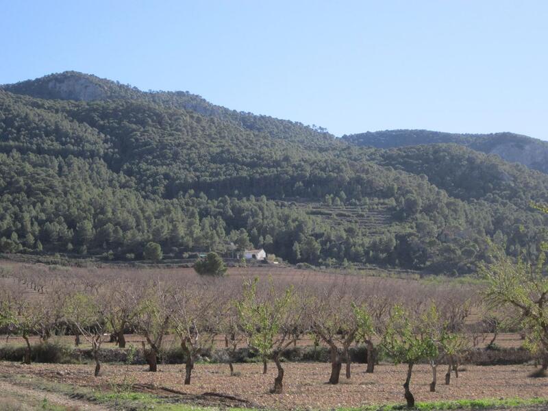 Terrain à vendre
