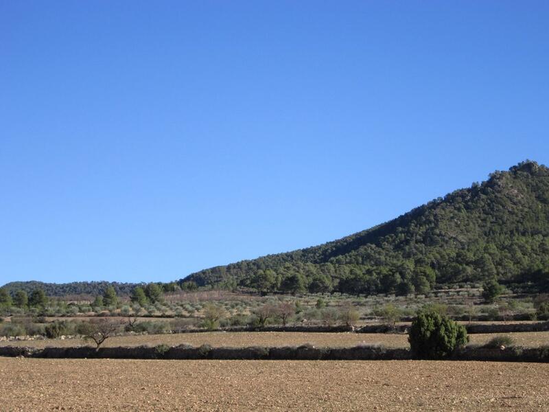 Terrain à vendre