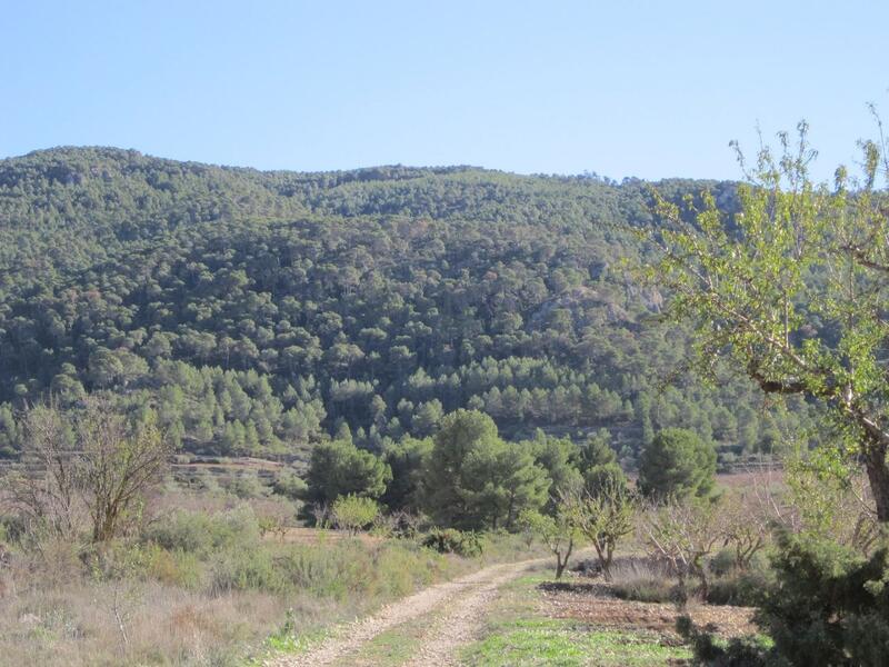 Terrain à vendre