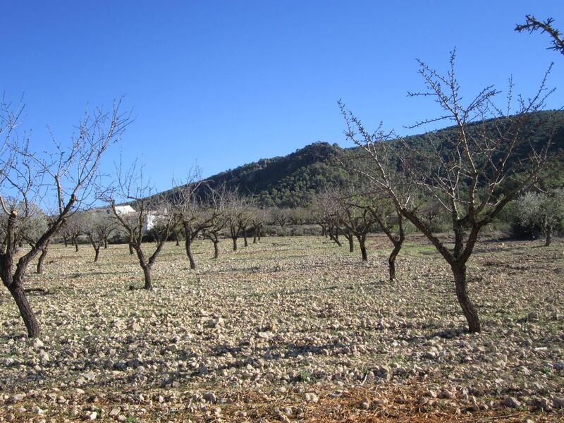 Terrain à vendre