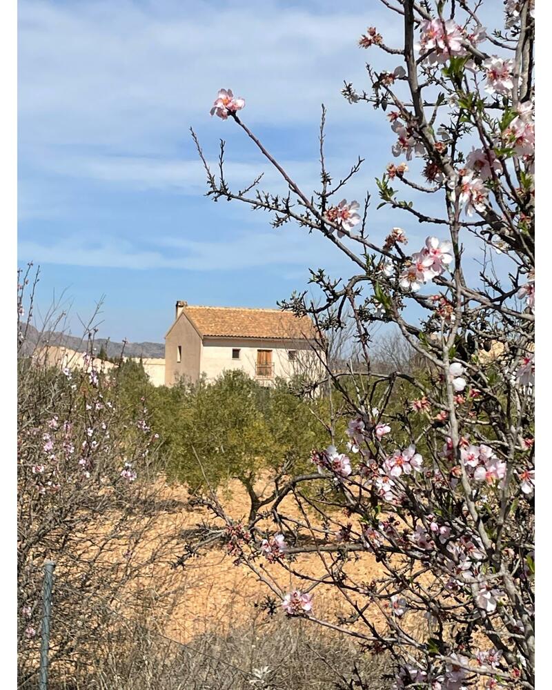 5 Cuarto Casa de Campo en venta