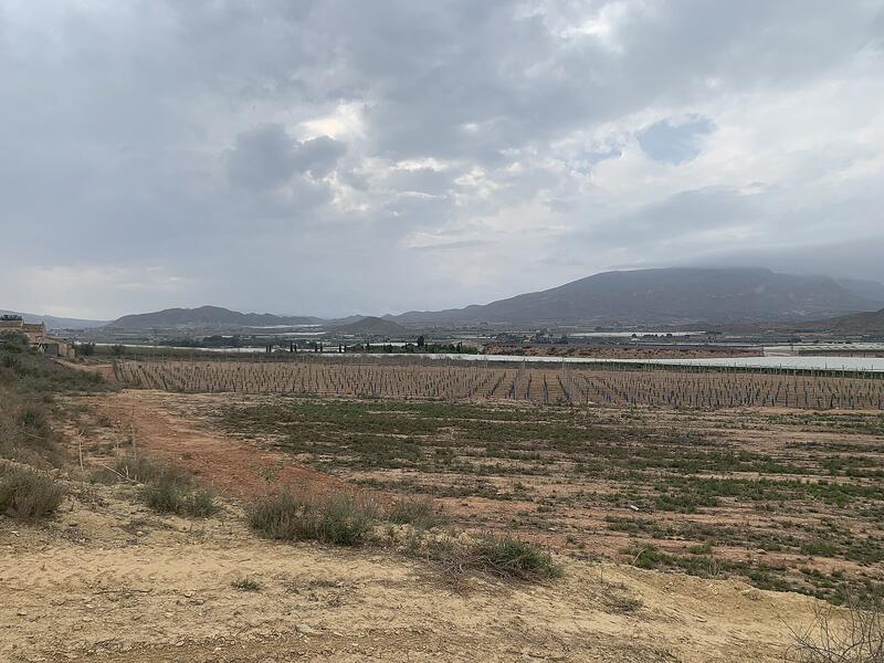 Terrain à vendre dans Monforte del Cid, Alicante