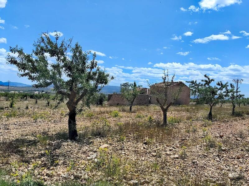 Country House for sale