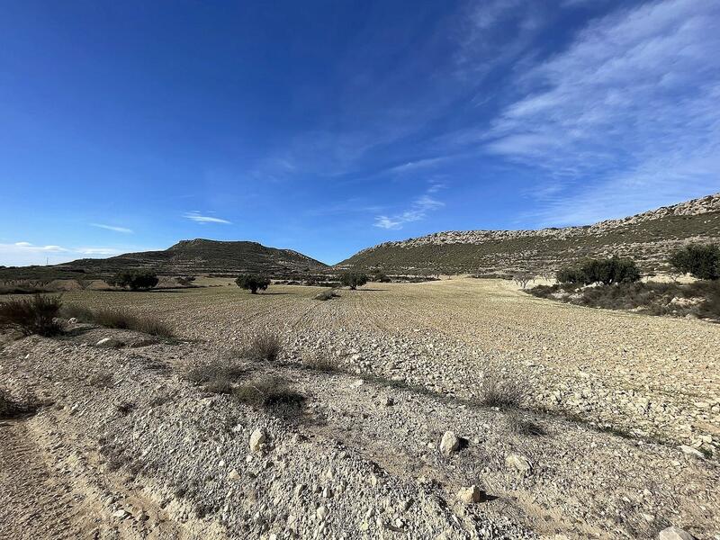 Terrenos en venta en Torre del Rico, Alicante