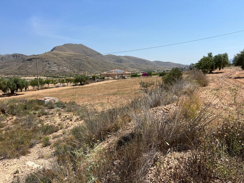 земля продается в Abanilla, Murcia