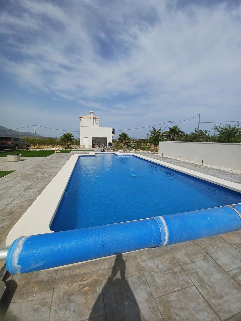 6 Cuarto Villa en venta