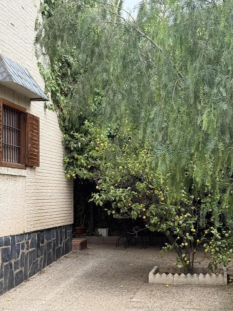 4 slaapkamer Villa Te koop