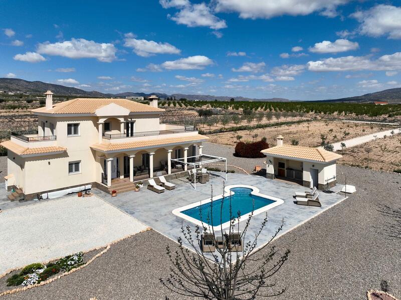 Villa for sale in Pinoso, Alicante