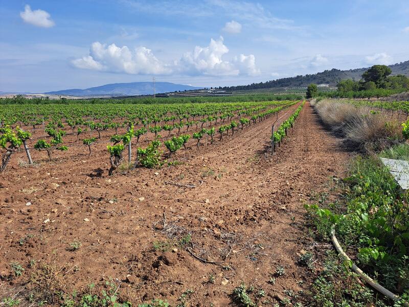 Terrenos en venta