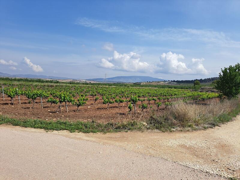 Terrenos en venta