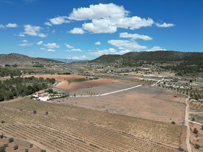 Land for sale