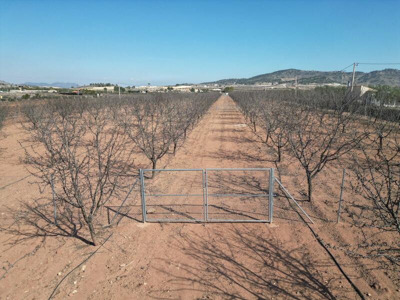 Land for sale